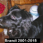 Brandi .2001-2015
